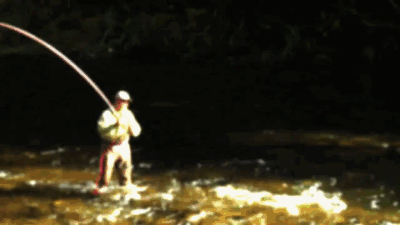 Ideas to improve fly fishing simulation